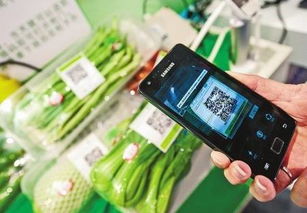 食品信息追溯系統 構建透明供應鏈，賦能消費選擇